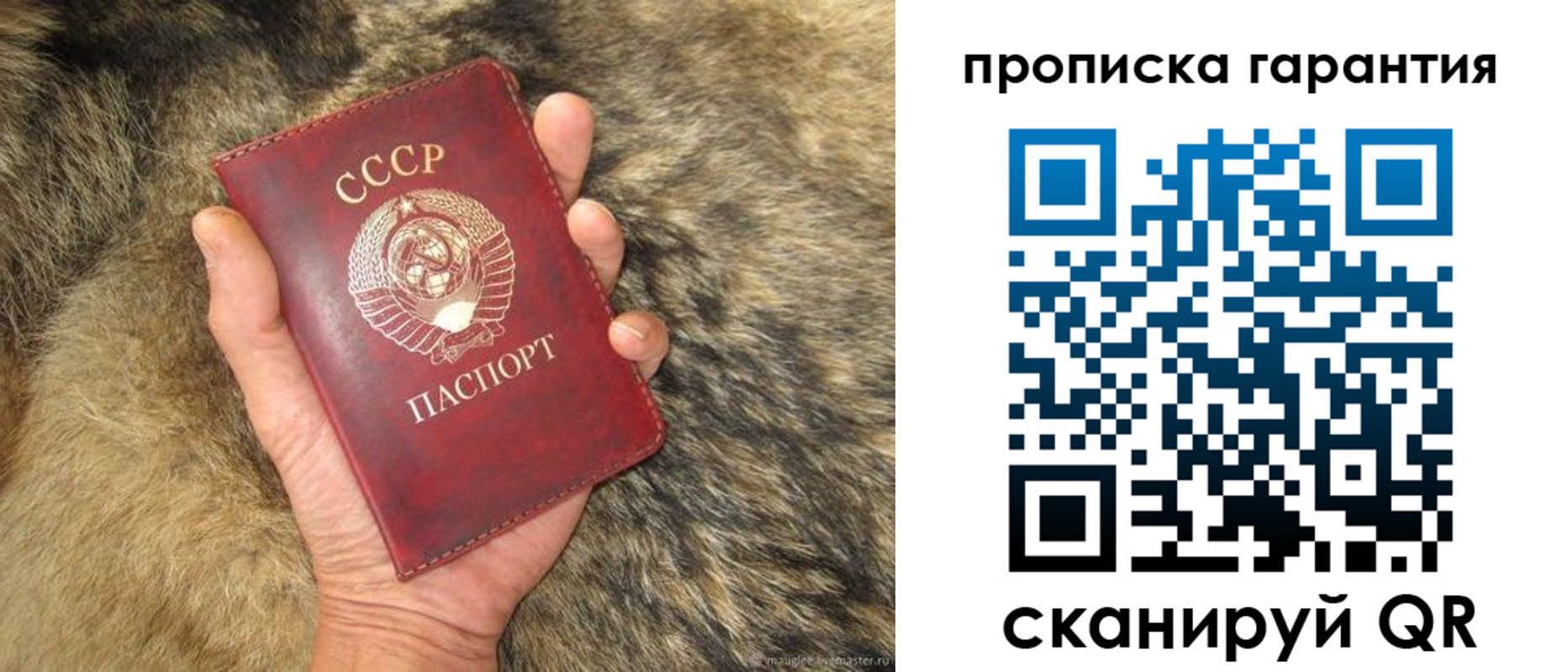 прописка паспорт в Снежинске